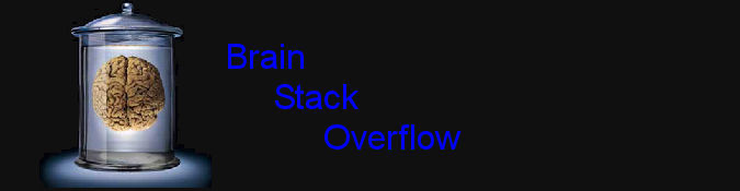 brainstack.jpg